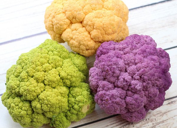 One head of green, purple and orange cauliflower on a white plank wooden board.