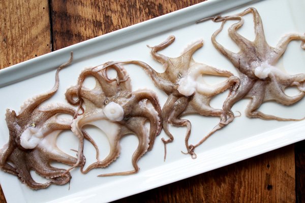 Uncooked baby octopus laid out on a white narrow platter ready to be grilled.