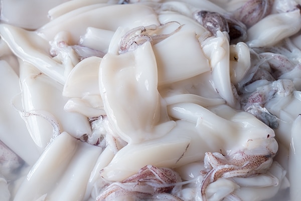 raw squid calamari tubes and tentacles piled up