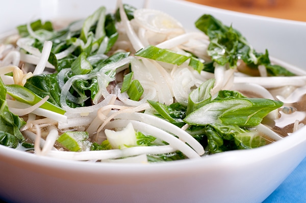 a white soup bowl with chicken pho with rice noodles, bean sprouts, and green herbs