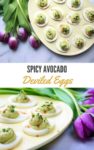 avocado deviled eggs in an egg tray with purple tulips on the side