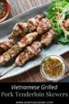 pork tenderloin skewers on a platter with a side salad and dipping sauce