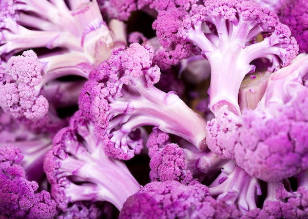 A close up shot of uncooked purple cauliflower florets.