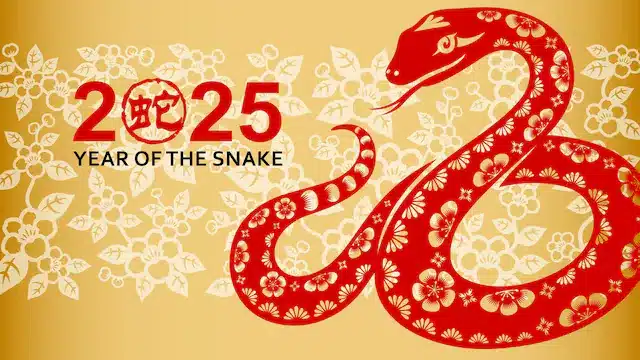 A poster image for the 2025 Chinese New Year, year of the snake, yellow background and a red snake.